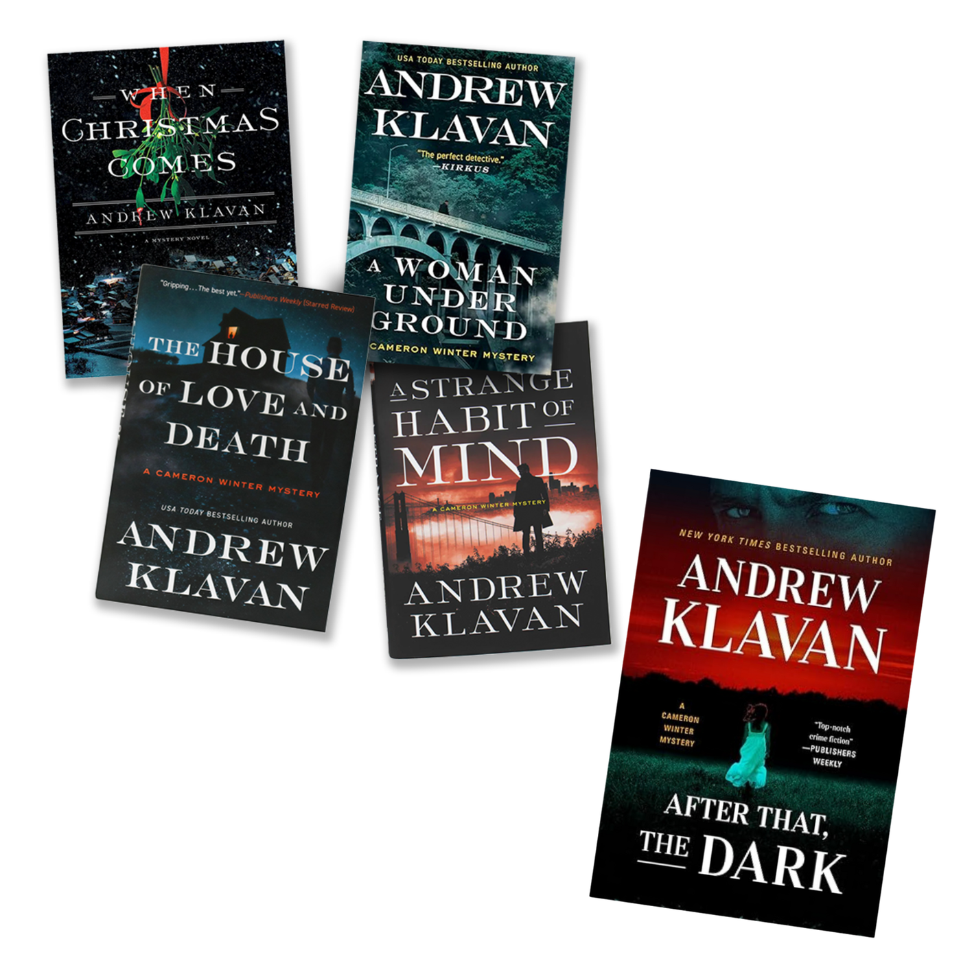 Cameron Winter Mystery Series 5-Book Bundle