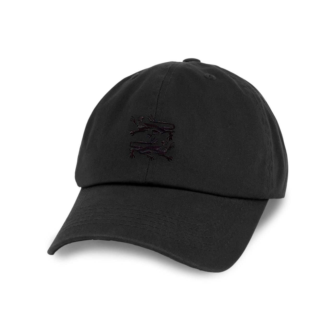 Lions and Scavengers Hat