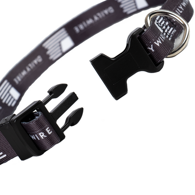 Daily Wire Forward Flag Dog Collar